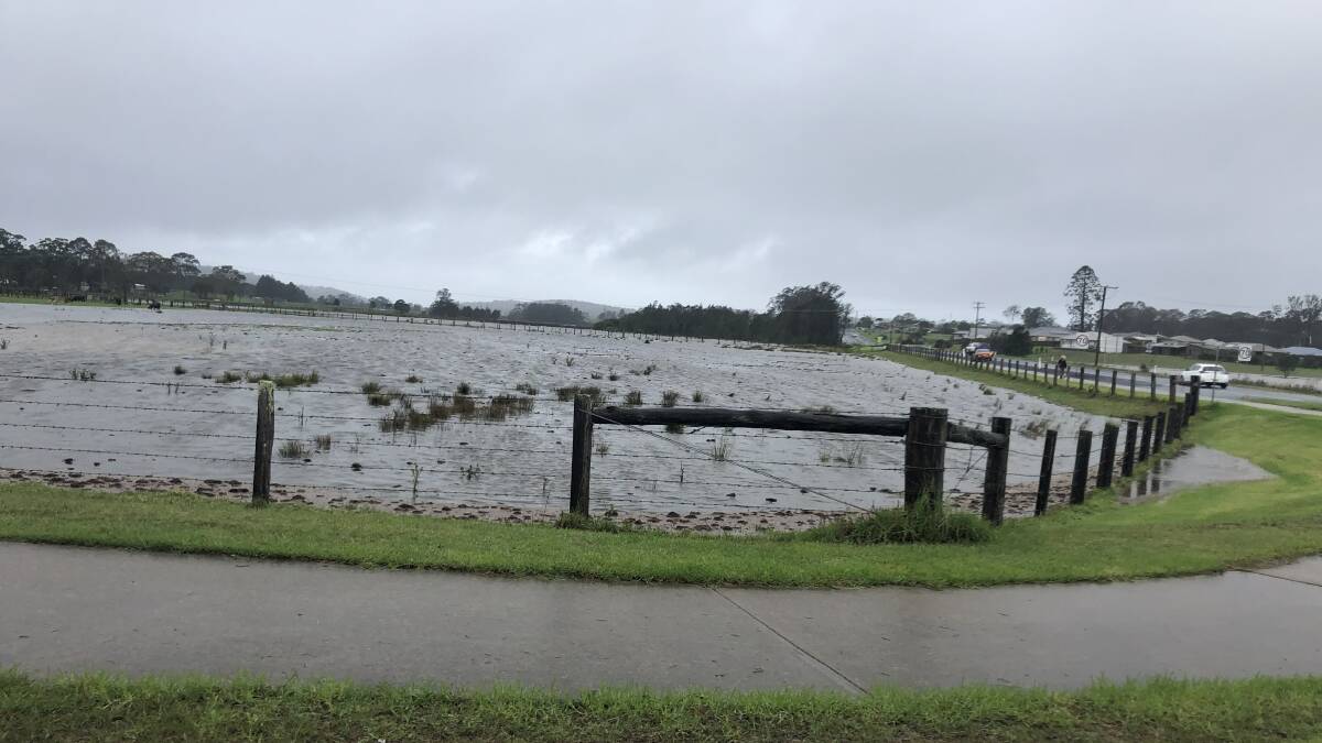 A 300ml bucketing overnight and more where that came from. Pictures: Moruya Business Chamber.