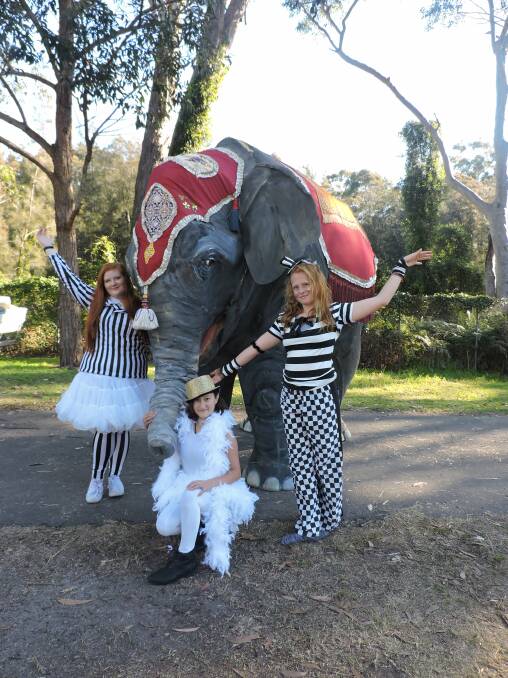 EVERYONE'S TALKING: No-one is silent about the elephant in the playground at Batemans Bay High School.