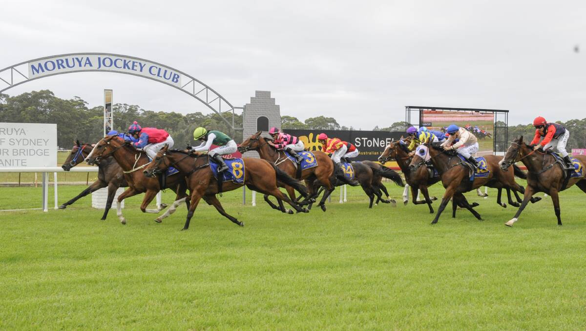 CRUNCH TIME: Malachi Crunch wins at Moruya in January. It's crunch time in the trainer premiership on Monday.