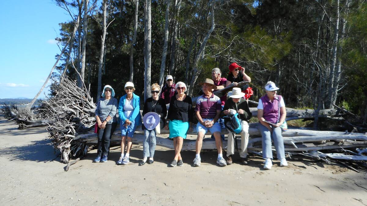 NICE DAY: Bay Probus members pose for a photo during their trip along Cullendulla boardwalk.