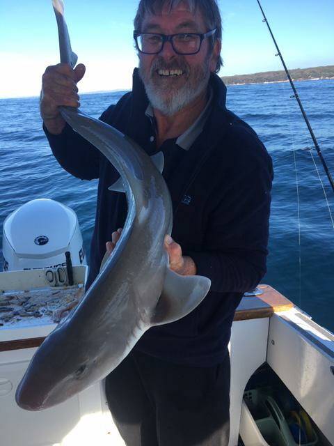 RAY OF SUNSHINE: Ray Layton and Les Waldock's trip off Tilba was worth the journey. Ray holds a 1.18m gummy shark.