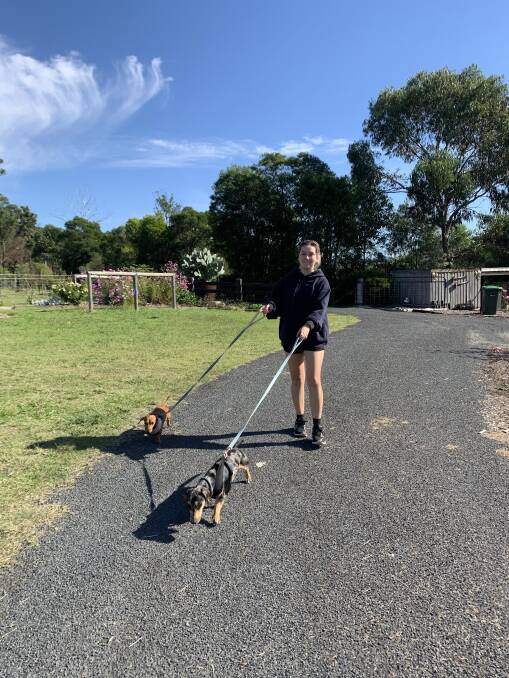 At least home-schooling and social isolation offer Charlie Hall the chance to walk the dogs more often. Everyone involved seems happy.