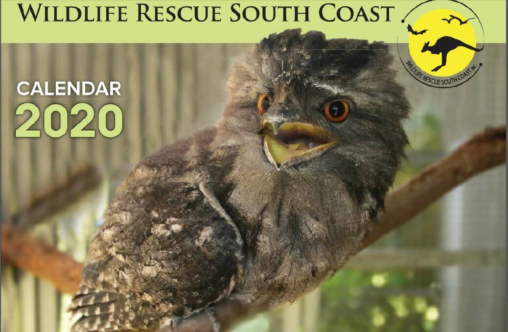 Wildlife Rescue South Coast's 2020 Calendar is now on sale. 