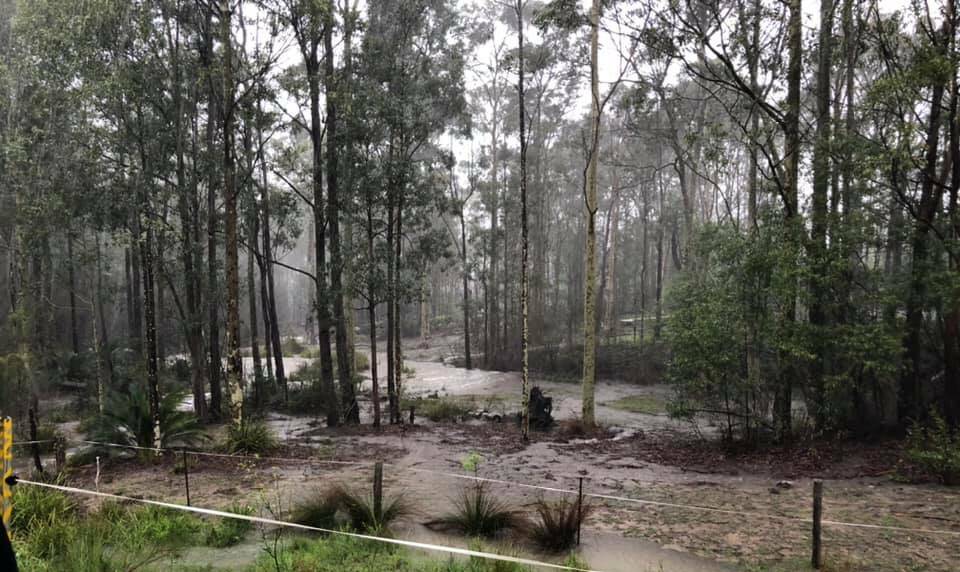 Jess Prendergast sent us this image as the Eurobodalla Shire continues to cop a bucketing on Monday, January 10.