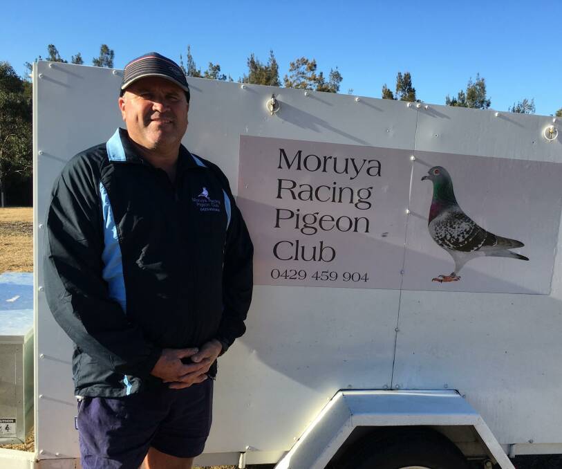 Manny Byrne won the race for the Moruya Pigeon Club two weeks running.