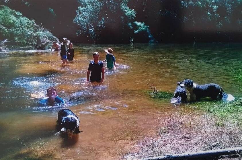 ALL IN: Swimming, sunshine and dogs ... so many memories of life by the Deua River. It was the organising theme of family life for the Cormicks.