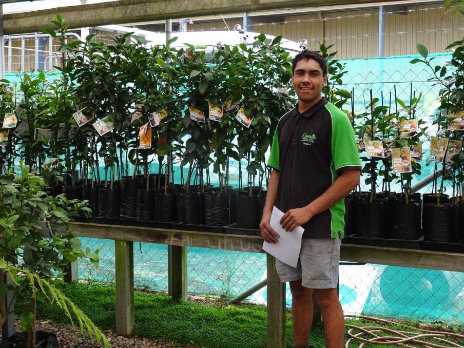 RENEWAL: Denzel Bond helps SHASA choose citrus trees at Greenlands, Moruya. SHASA is shopping with funding from the Foundation for Rural and Regional Renewal.