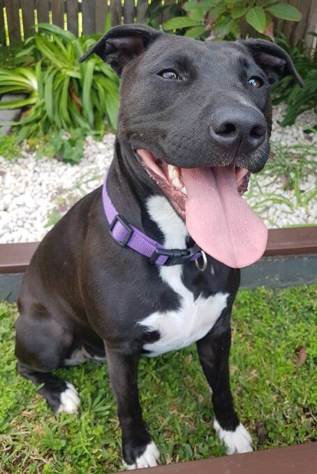 Ruby: She is friendly and affectionate.