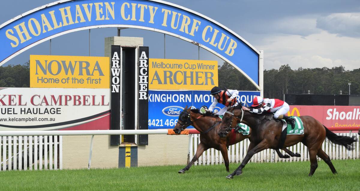 CHARGING: Accountant, ridden by Shaun Guymer, wins at Shoalhaven City Turf Club on Monday. Photo: Jackson Cocks.