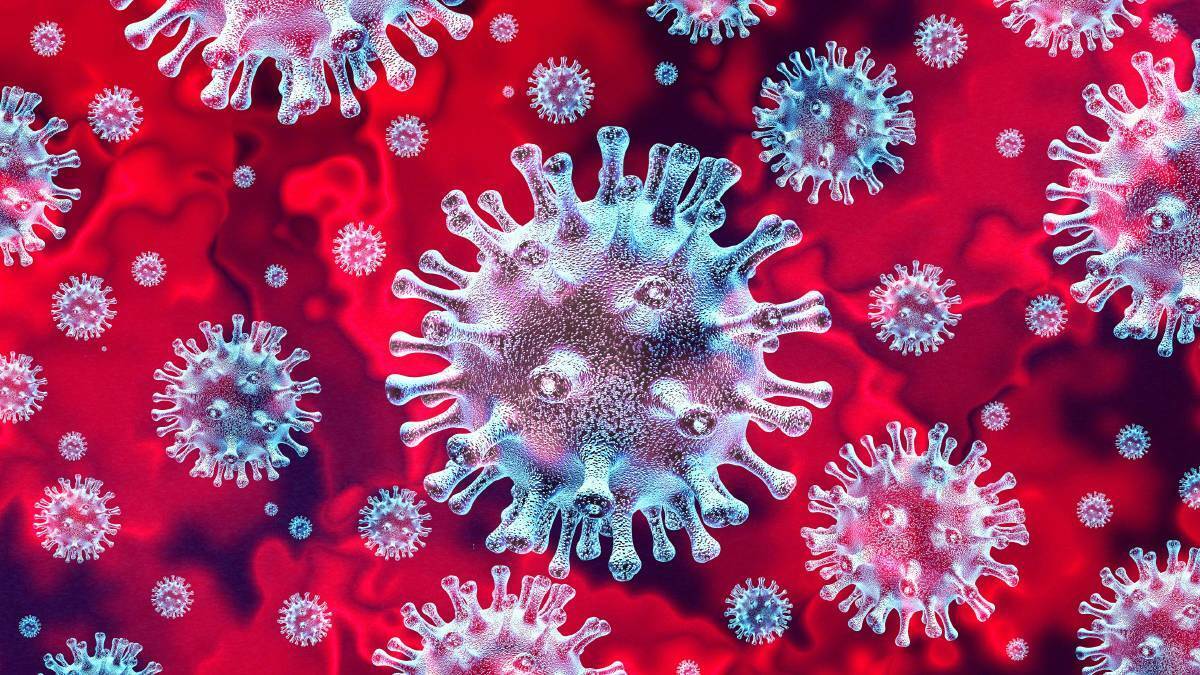 Coronavirus cases update for Far South Coast