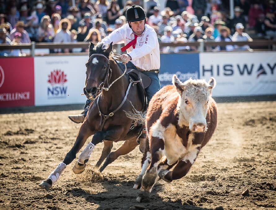 Willinga Park will hosts the 2021 World Championship Gold Buckle Campdraft this weekend. Photo: Supplied