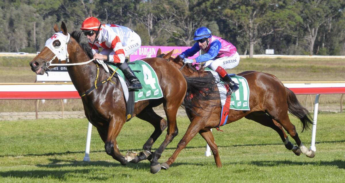 Chad Lever and Forged in Stone power to victory at the Moruya Jockey Club on Thursday. Photo: Bradleyphotos.com.au