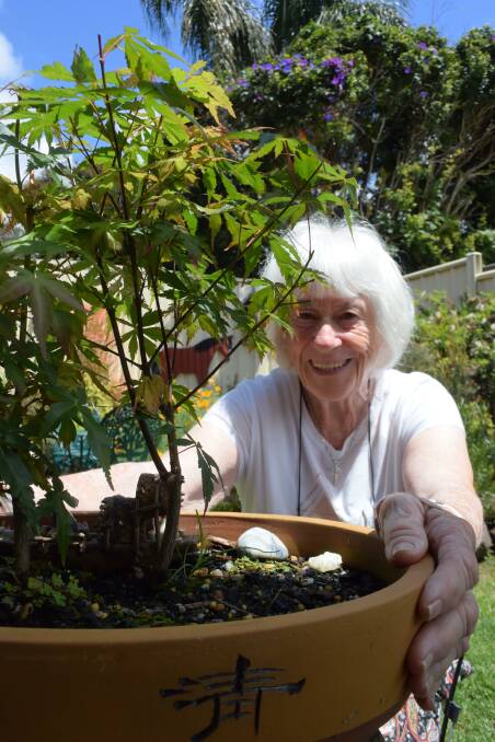 Batemans Bay's Maureen Daniels with one of her Japanese Maple bonsai trees. 