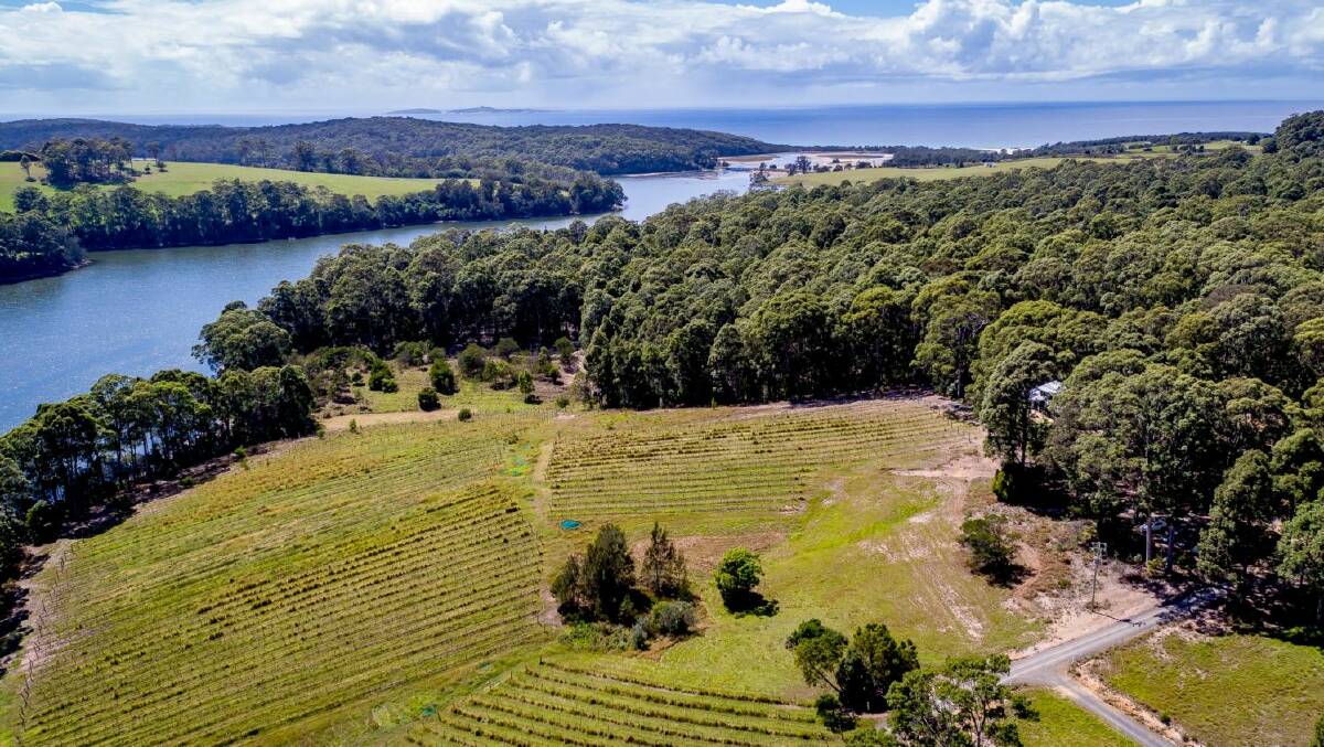 Aerial photograph of the Tilba Winery in 2018. Image: Supplied