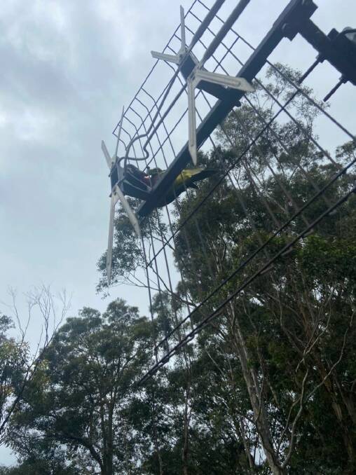 A lorikeet got itself in a bit of strife after flying into a TV antenna. Image: Batemans Bay Fire and Rescue Facebook. 