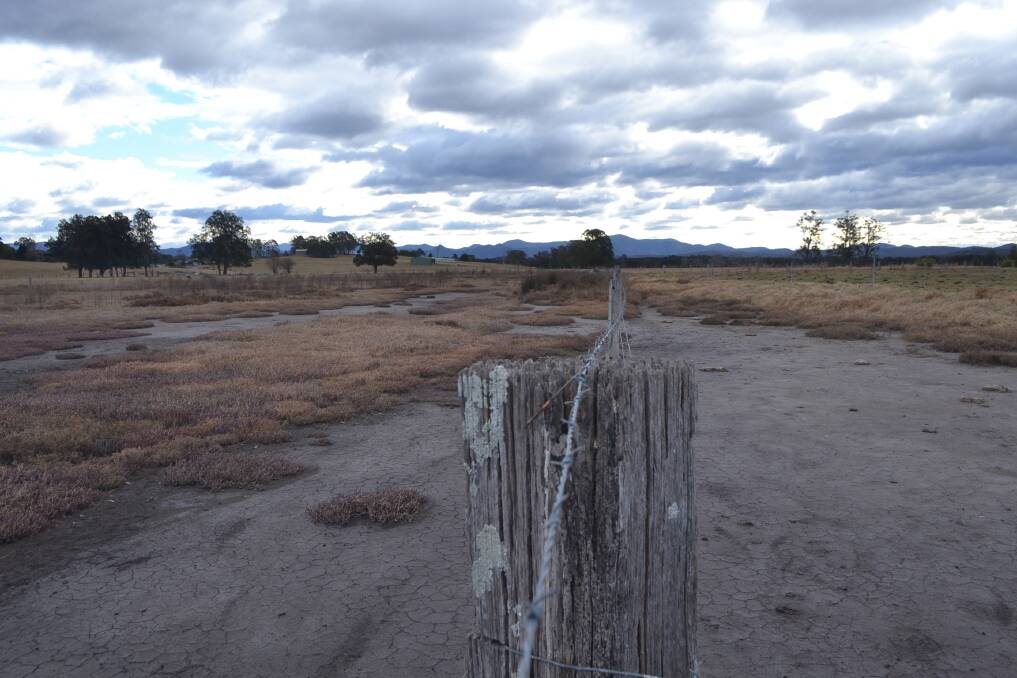 Fencing to keep livestock off saltmarsh at Moruya Flood Plain. 