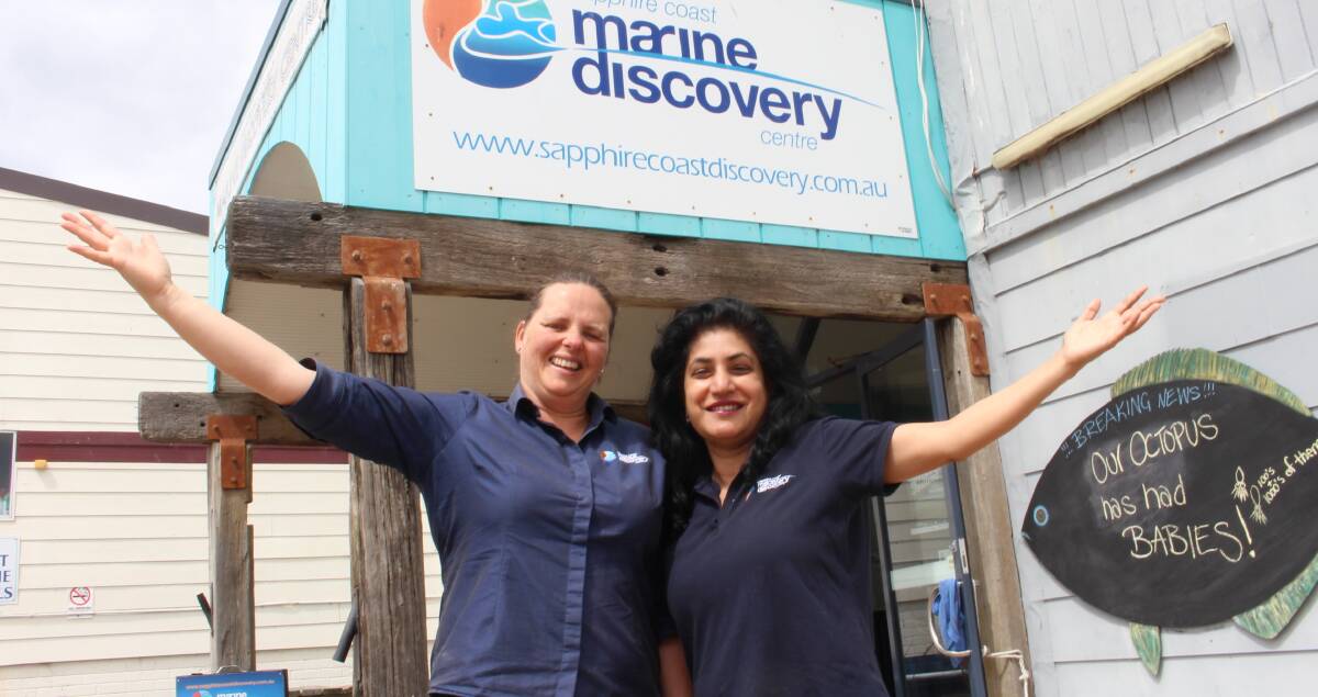 Exciting news: Janet Borley and Sharmila Hannaford invite everyone to come and check out the baby octopuses at the Sapphire Coast Marine Discovery Centre. Photo: Claudia Ferguson. 