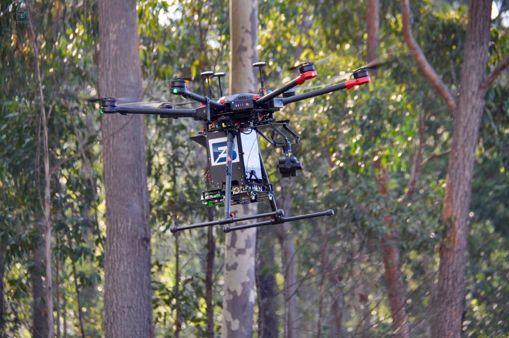 Drone at work in the Benandarah State Forest.