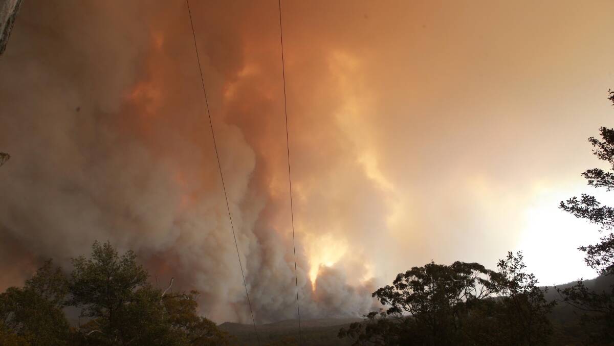 The Currowan fireground on the NSW South Coast, near Tapitallee and Browns Mountain. Picture: Sylvia Liber