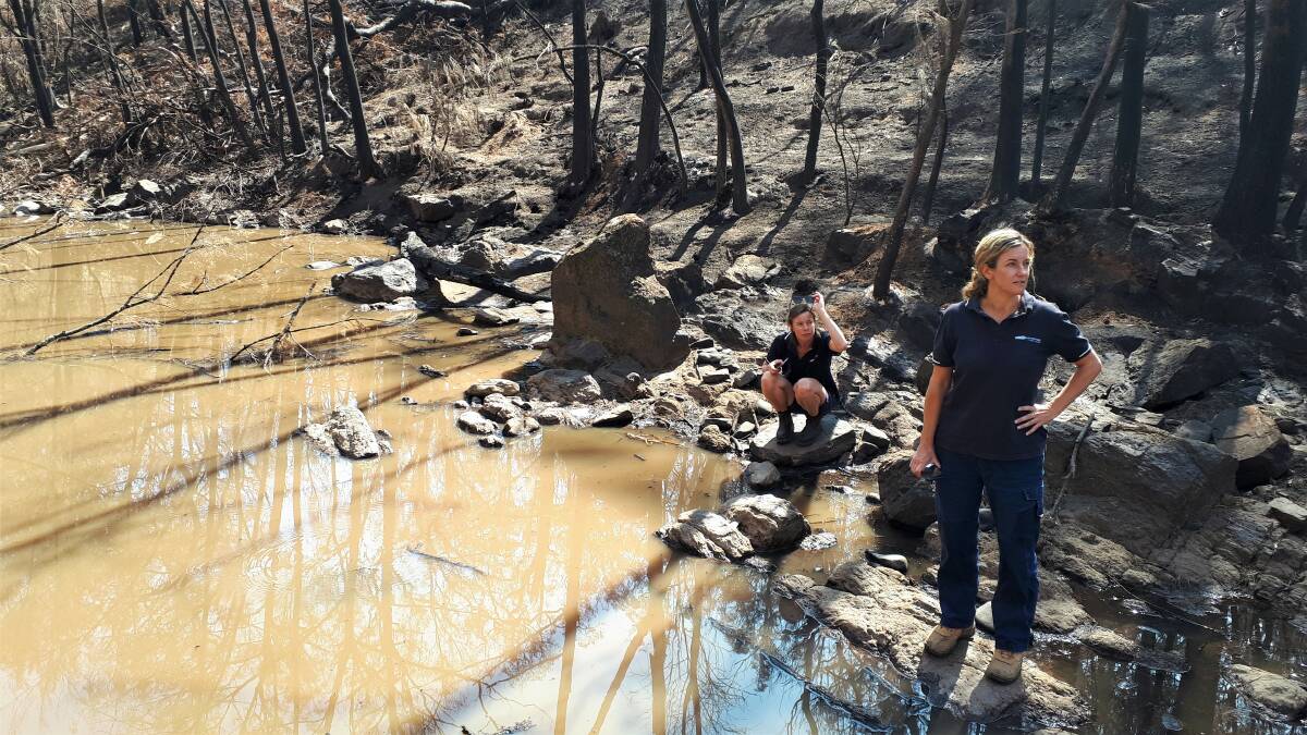 Eurobodalla Council's Landcare coordinator Emma Patyus and natural resources supervisor Heidi Thomson along the burnt-out bank of the Deua River.