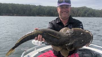 Mal Gilham of Tuross Head with his winning flathead in 2020. Image: Supplied. 