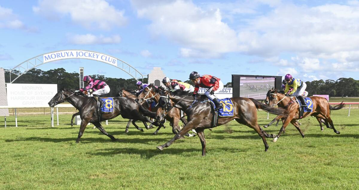 Moruya favourite: A mostly local crowd celebrates the win of Whisky'n'diamonds at the 2020 Christmas Cup on Sunday. Image: Bradley Photographics.