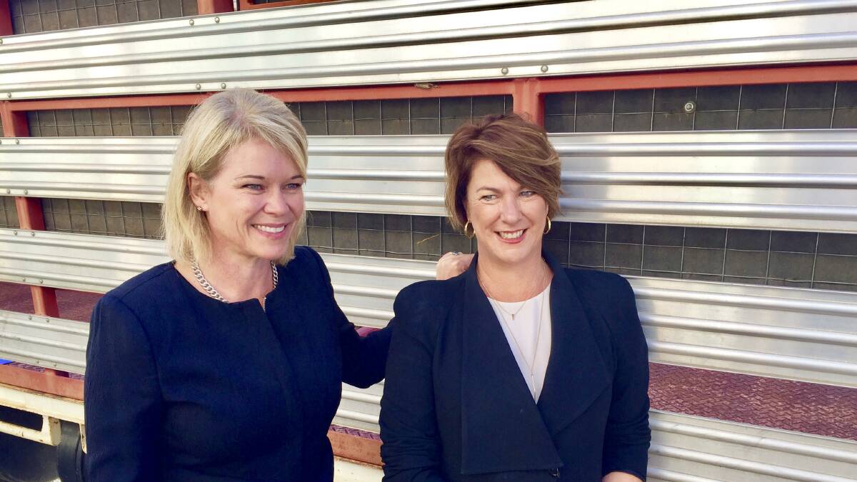 ROAD FOCUS: Potential Nationals candidate for Gilmore Katrina Hodgkinson with NSW Roads Minister Melinda Pavey. 