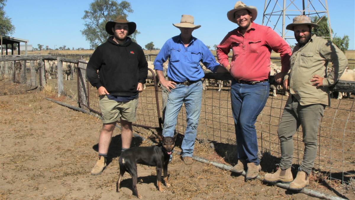 Toowoomba car rental agency employees Caleb Espie and Luke Kleynhans have been busy mustering for crutching with Barcaldine Downs manager Dennis Allpass and overseer Matt Baker, centre.