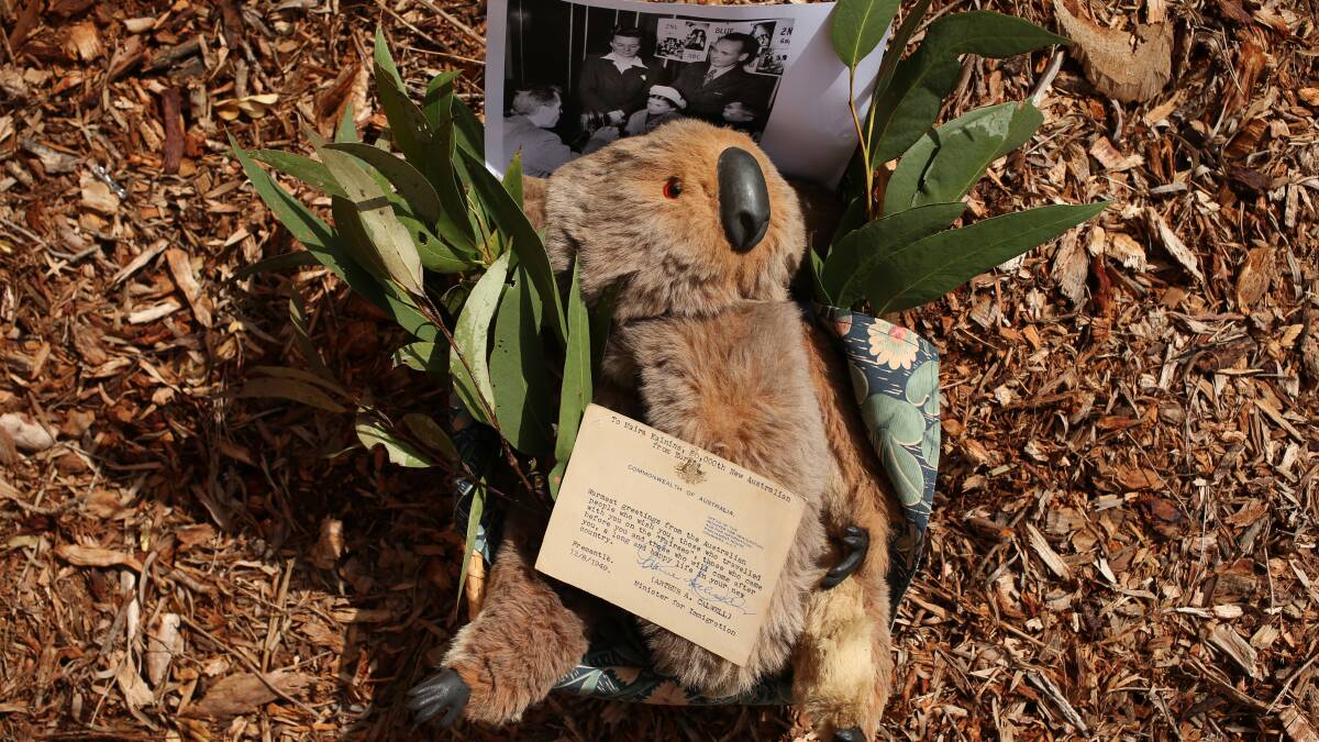 GIFT: The toy koala gifted to Maira 71 years ago. Picture: Simone De Peak