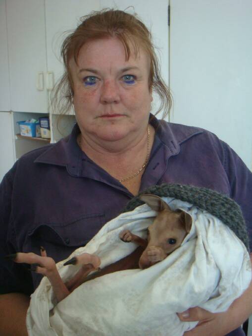 WIRES volunteer Janine Green holding the sole survivor from a night of senseless slaughter.