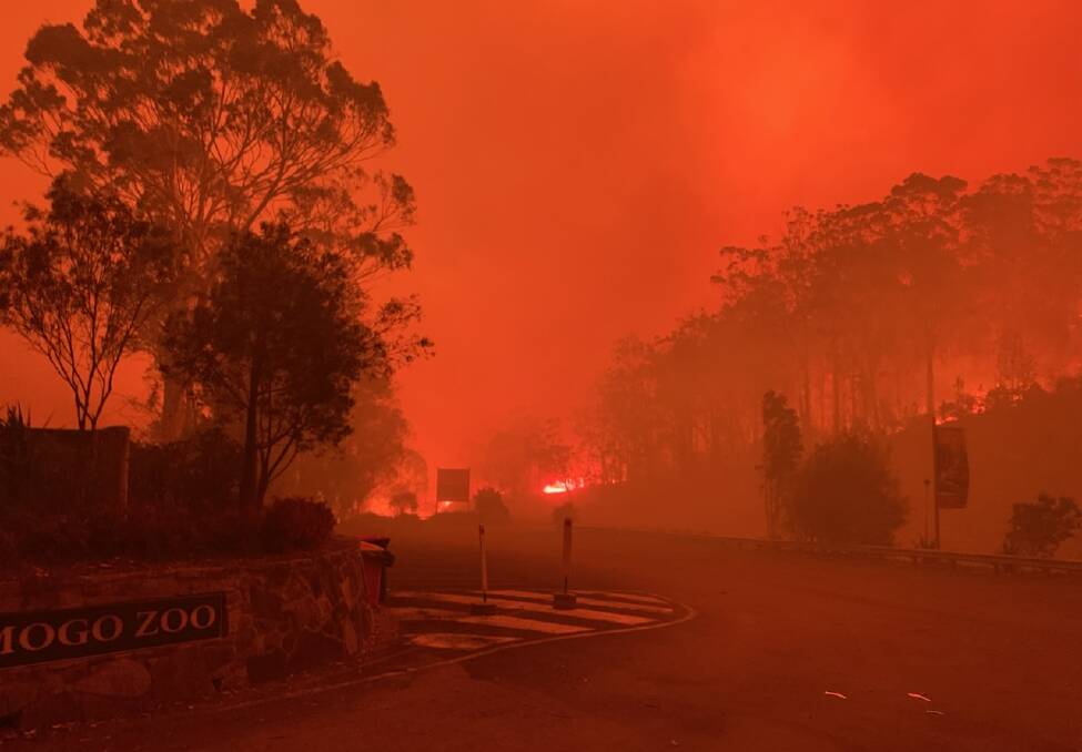 Staff at the Mogo Wildlife Park were able to protect the 65 acre park as a bushfire tore through the area. Picture: Chad Staples