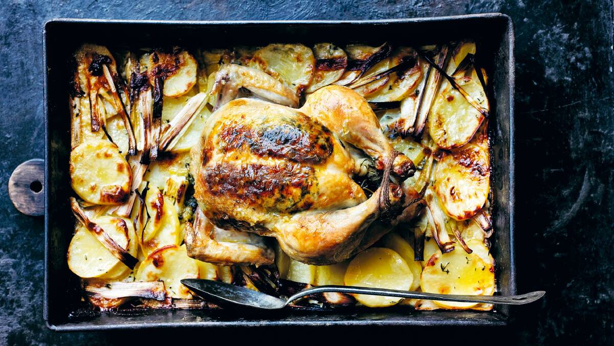 Roast garlic chicken on potato and leek gratin. Picture by Chris Court. Recipe and styling: Donna Hay