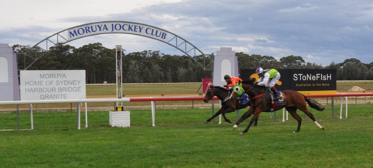 It was a two-horse race that had the crowd cheering as Moruya's Call The Clock just beat Skippit as they crossed the line.