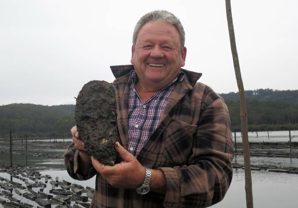 Clyde River oyster farmer Bernie Connell says this oyster could be a world-record winner.