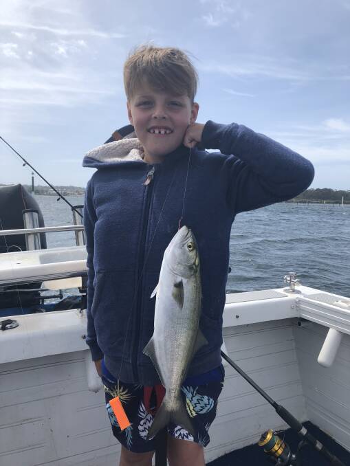 Kade Jenkins, 8, of Berrambool  shows his 42cm class winning tailor caught during last weekend’s round of the Wolumla Amateur Fishing Club’s tournament.