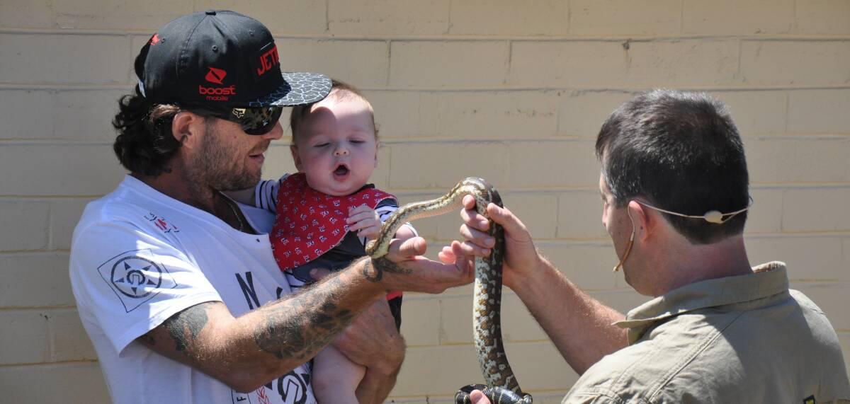 PLAYTIME PYTHON: Marc Jacewicz of Crocodile Encounters introduces his audience to a diamond python at the Eurobodalla Show.