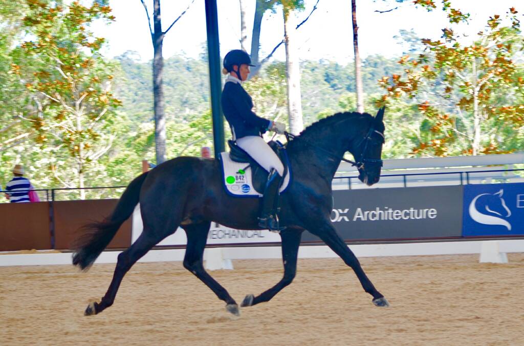 Winner of the class was Gina Montgomery's imported black stallion Braveaux, who scored an impressive 90.4%.