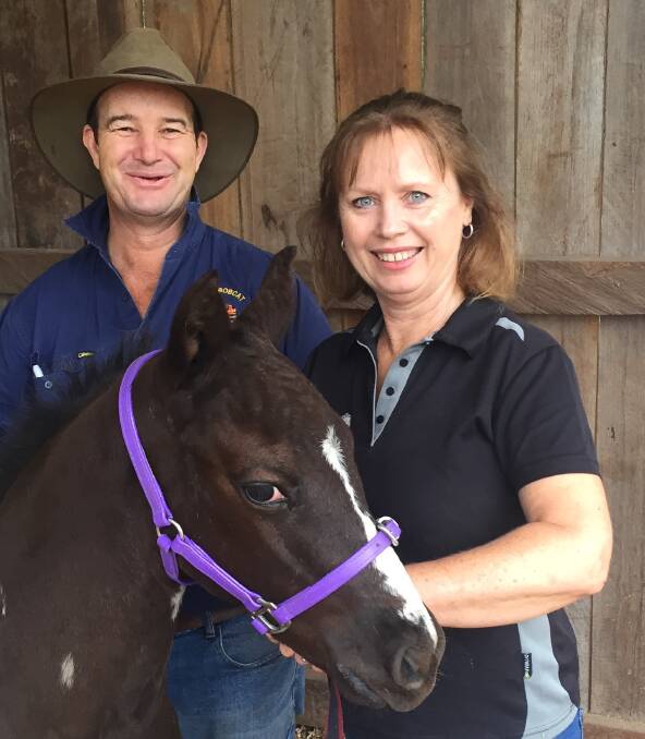 HAPPY APPIES: Bill and Linda Pierpoint with Ironhorse Smoke N Mirrors. The couple are using FaceBook to help sell their stock across the country.
