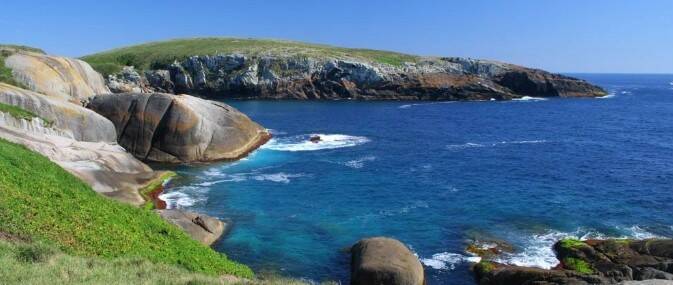 Montague Island: Environment Minister Matt Kean says he will dive there soon and has promised "science" will determine if no-take zones are restored to the Batemans Marine Park.
