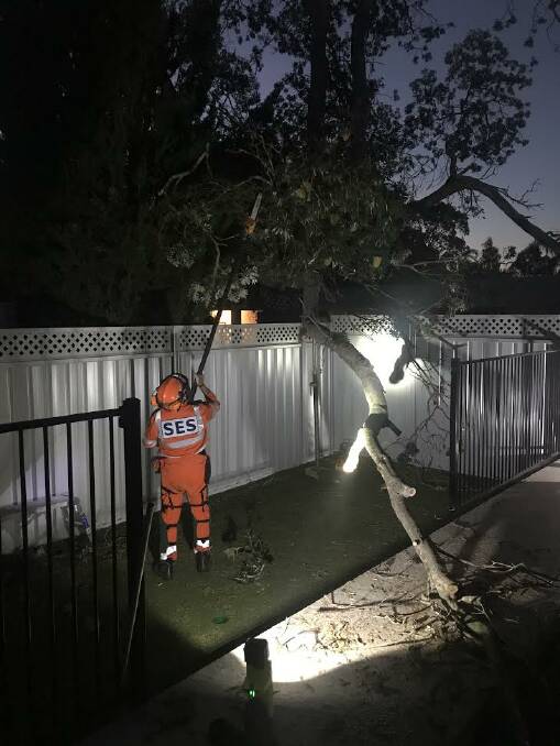 TREE DOWN: A Batemans Bay SES crew member works to remove part of a tree that had fallen during the weekend's strong winds.