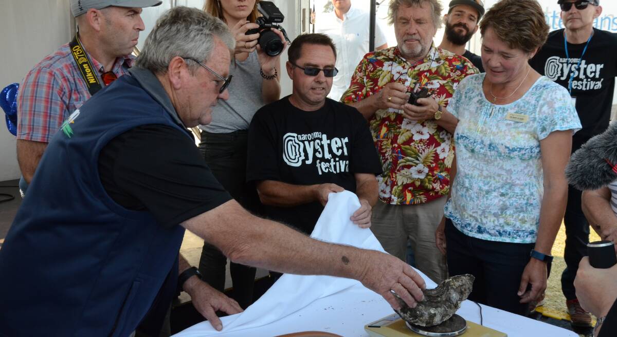 RECORD BATTLE: Oyster grower Bernie Connell (left) oversees oyster 'Jack's' world record weigh-in at the Narooma Oyster Festival on May 5.