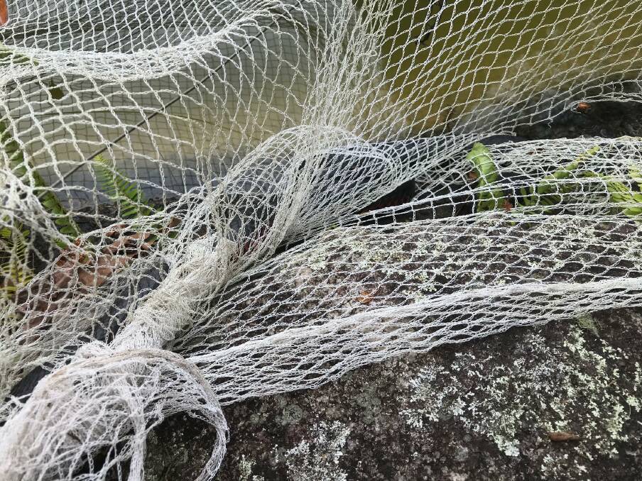 A DANGER: WIRES is urging residents to watch out for wildlife around garden nets after two snakes had to be rescued recently. Photo: Sandy Collins.
