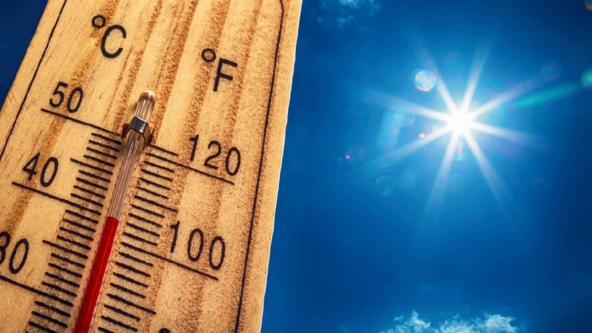 HEATWAVE: Emergency services have issued a heatwave warning across the state with large parts of NSW and the ACT set to experience severe heatwave conditions this week.