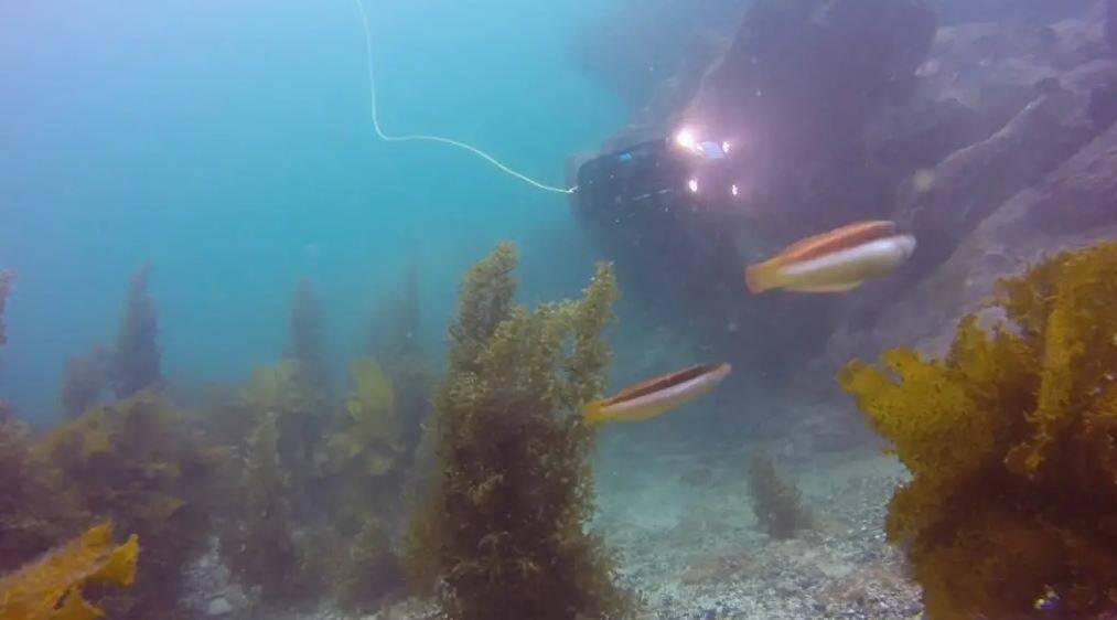 ROV (a remotely-operated underwater robot submarine) explores Batemans Bay. Photo: UNDERSEAROV.