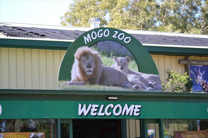 Mogo Zoo prepares for ‘biggest fire threat since ‘94’