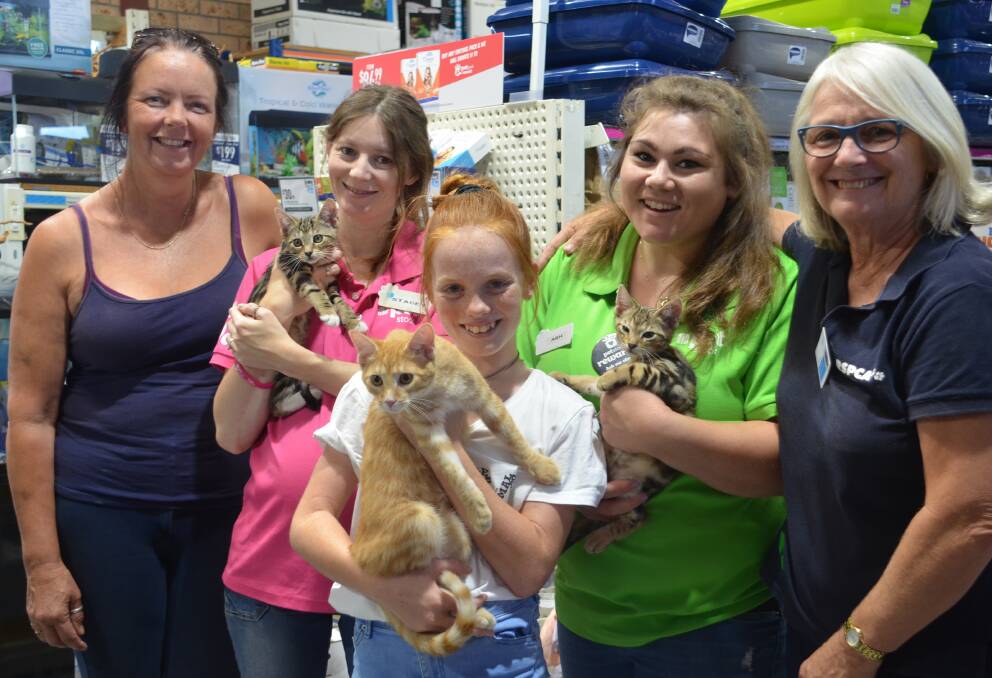 ADOPT FIRST: Follyfoot Equine Rescue's Libby Buttress with Stacey Smith, Sarah Clarke, Ash Komal and Eurobodalla RSPCA's Christina Allen ahead of National Pet Adoption Day at Petstock Batemans Bay next month.