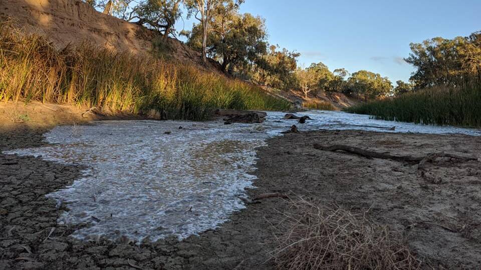 Water has now reached the Murray weir pool at Wentworth, connecting the Darling River with the Murray River for the first time in two years. Photo: Rachel Strachan.