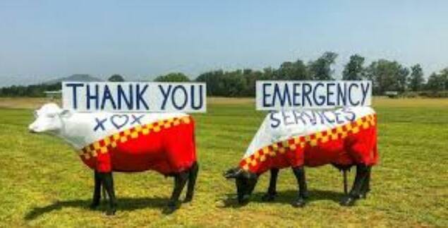 HEROES: A special thank you to the emergency services after January's devastating South Coast bushfires.