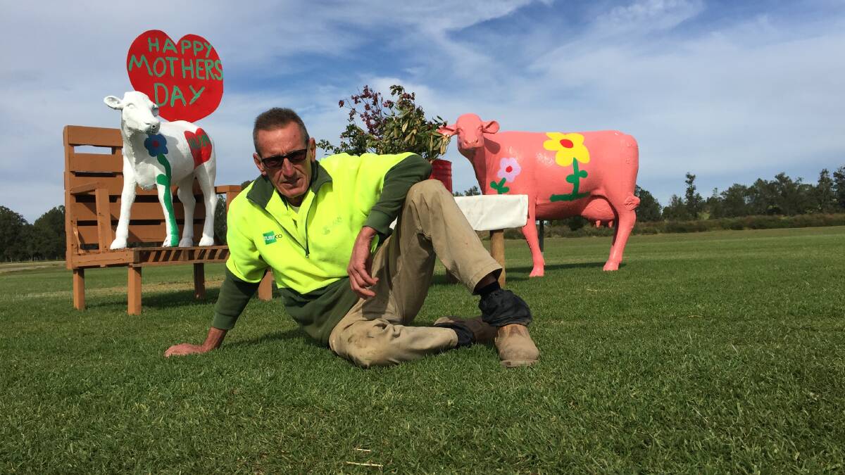 CREATOR: Meet the man behind the famous Turfco Cows, designer Scott Parker with his latest Mothers Day display.