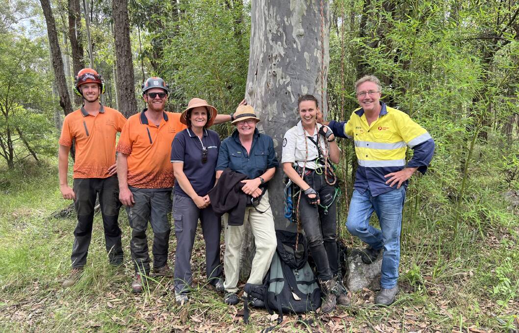 The gang-gang gang at Mogendoura: Arborists Joshua Maloney and James Weston, Councils natural resources supervisor Courtney Fink-Downes, Dr Susan Rhind, Dr Laura Rayner and landowner James Rickard. Picture: supplied. 